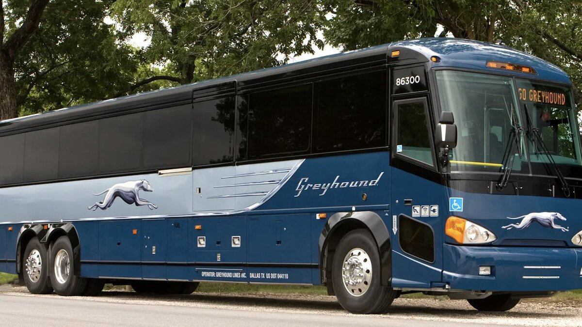 Greyhound bus