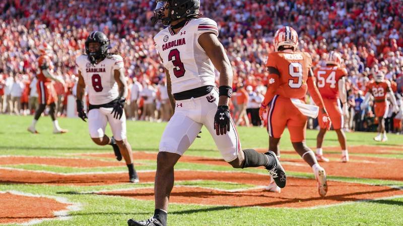 South Carolina wide receiver Antwane Wells Jr. (3) celebrates after scoring a touchdown in the...