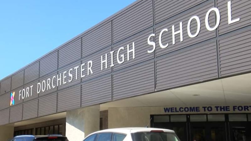 Dorchester County officials are set to present their plan to build a new $6-7 million library...