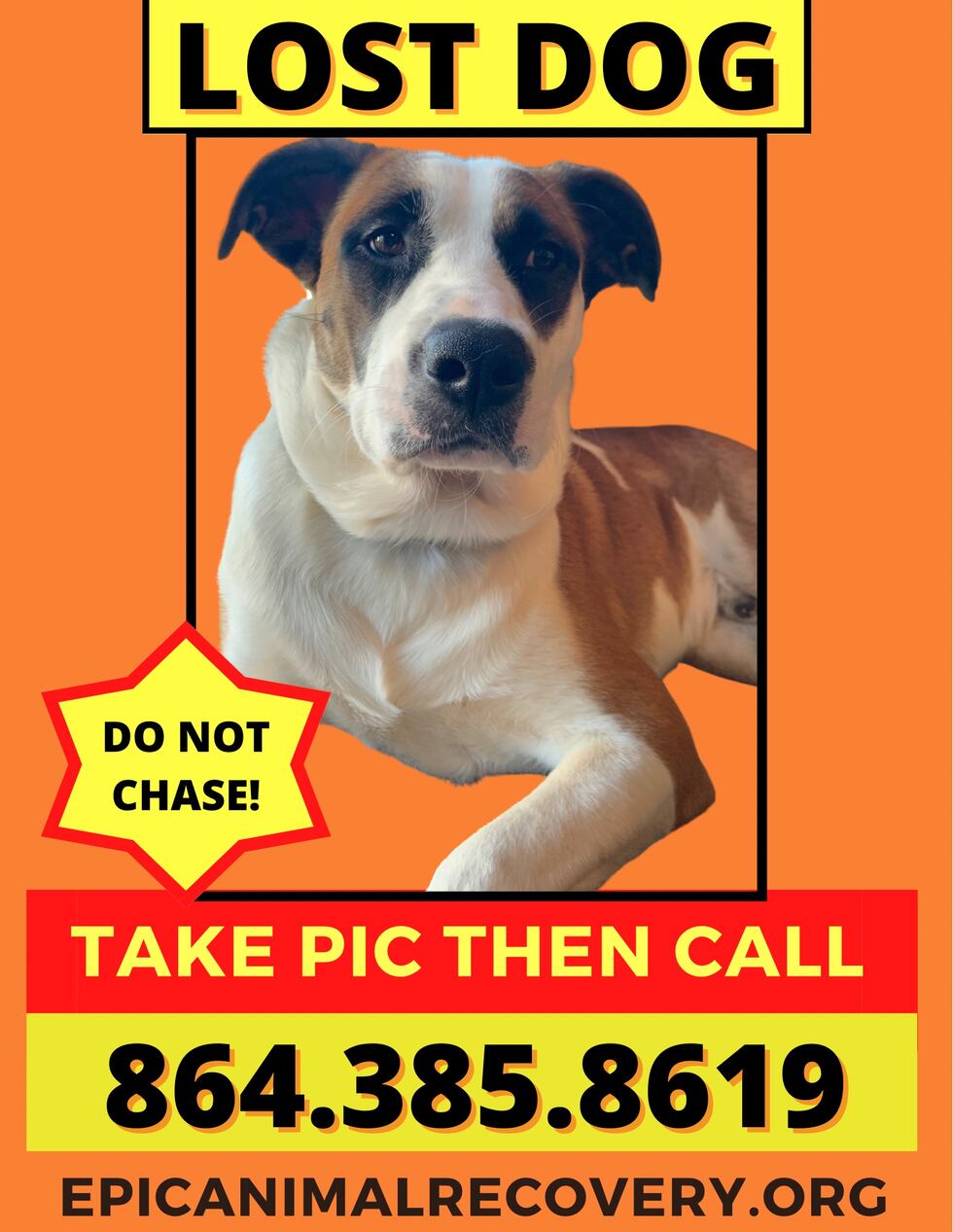 Anakin is missing in the Fountain Inn area.