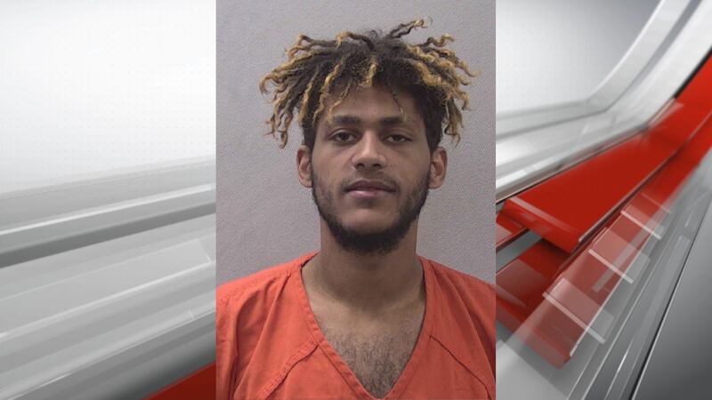 Gilbert man accused of killing multiple cats, hung bodies from tree