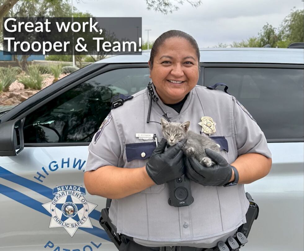 Police named the kitten Trooper Kitty and helped him find a forever home.