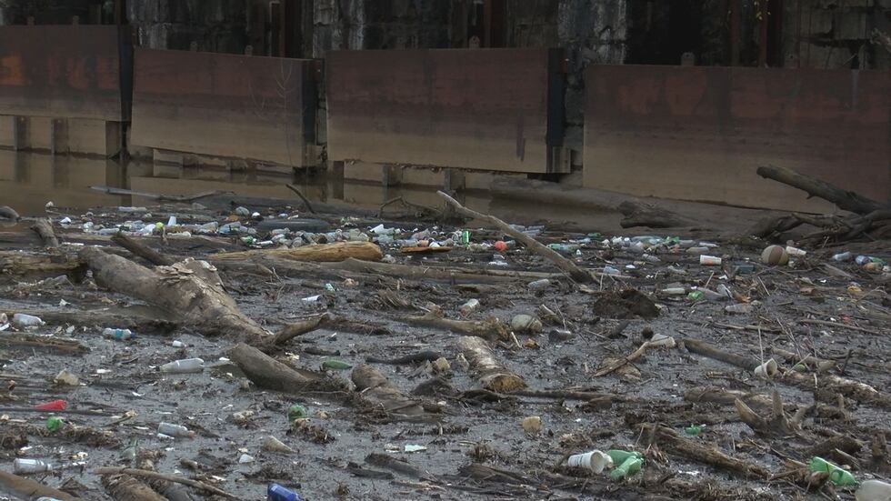 WIS wanted to learn if our plastic waste and the floating trash island was getting into our...